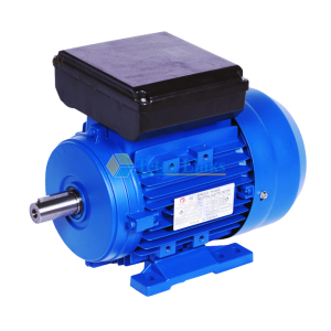 ML SERIES SINGLE-PHASE DUAL-VALUE CAPACITOR ALUMINUM SHELL MOTOR