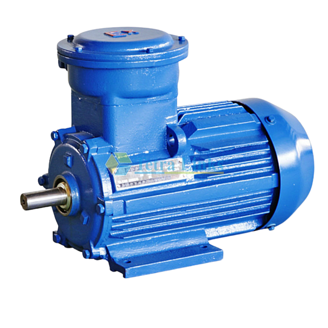 YB3 SERIES EXPLOSION-PROOF THREE-PHASES ASYNCHRONOUS MOTOR
